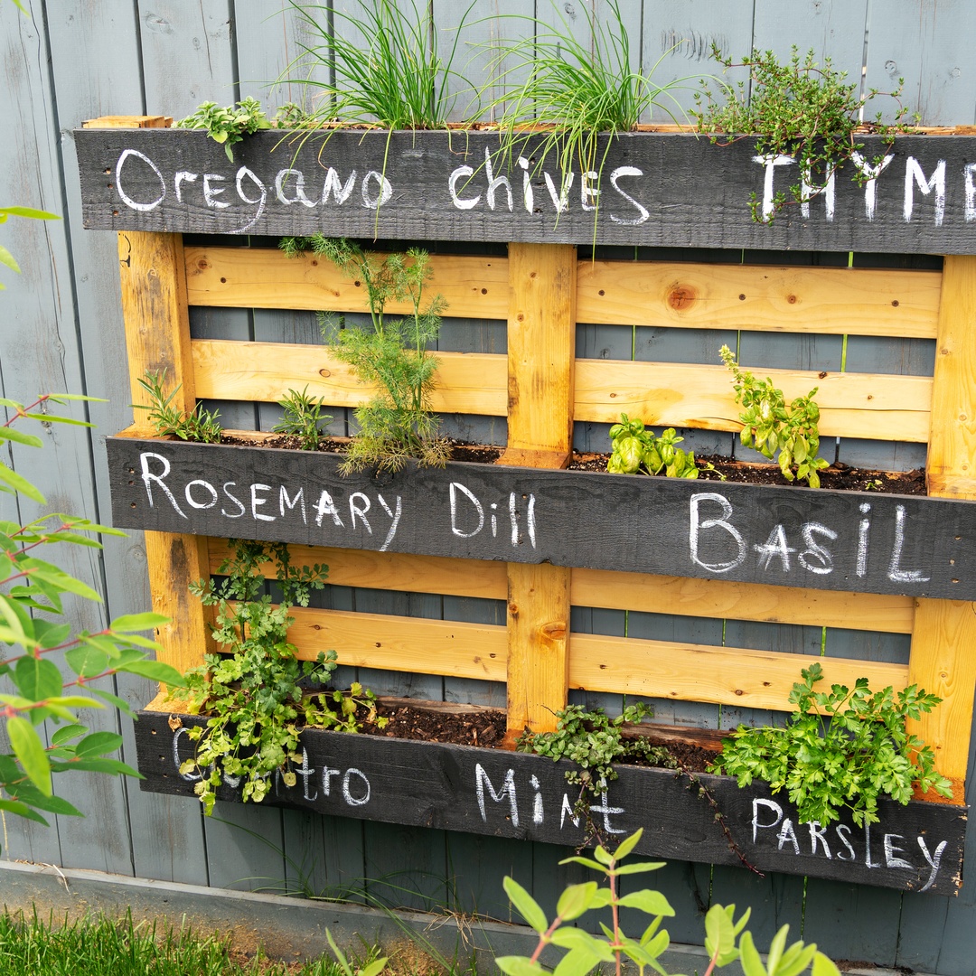 A wall-mounted herb garden made out of a wooden pallet. The rows are labeled with herbs like Dill, Oregano, and Chives.