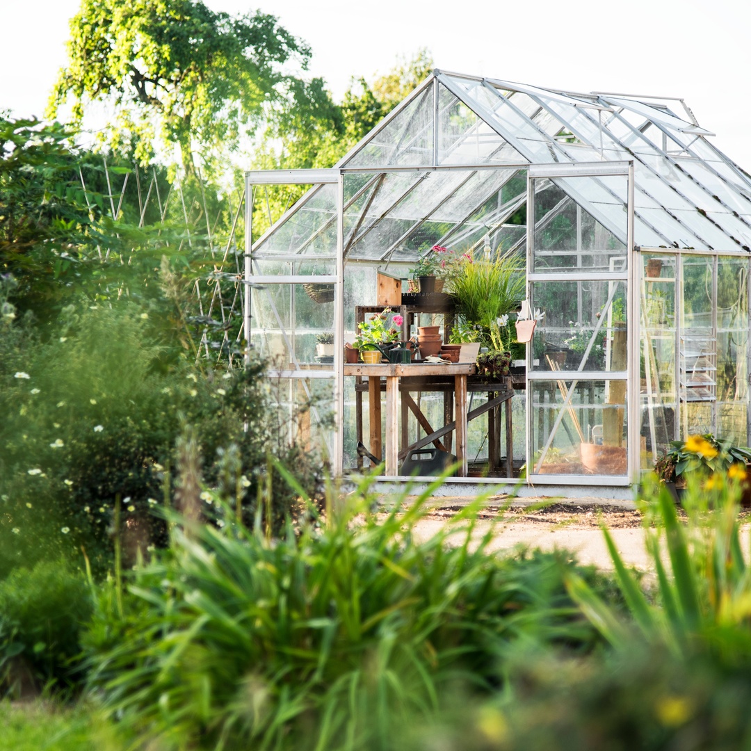 A small greenhouse sits in the middle of the yard. The greenhouse is made of all windows and has tables inside.